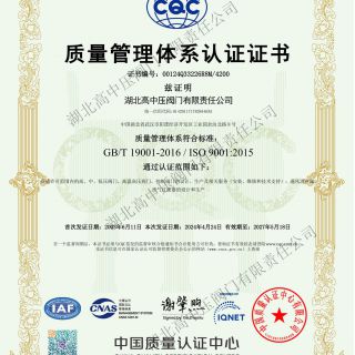 質(zhì)量體系證書( ISO9001)中文