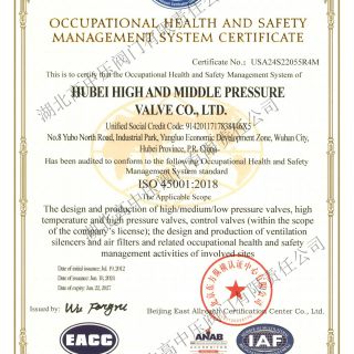 環境與職業健康安全管理體系英文版