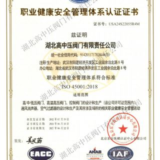 環境與職業健康安全管理體系中文版